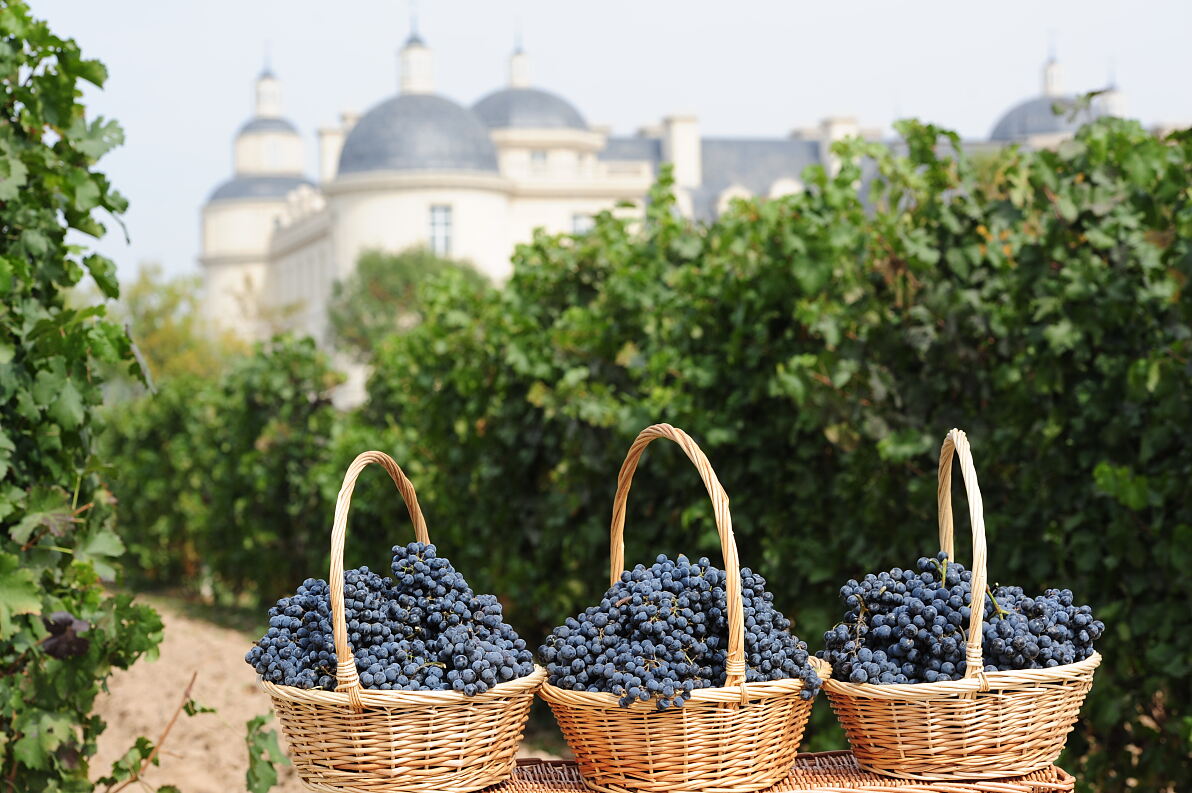 CCMXV_Chateau_Harvest_2