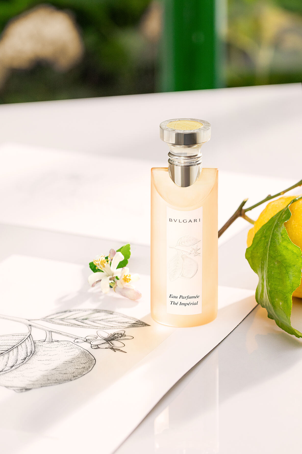 Bulgari_EP_Revamp_4190_8