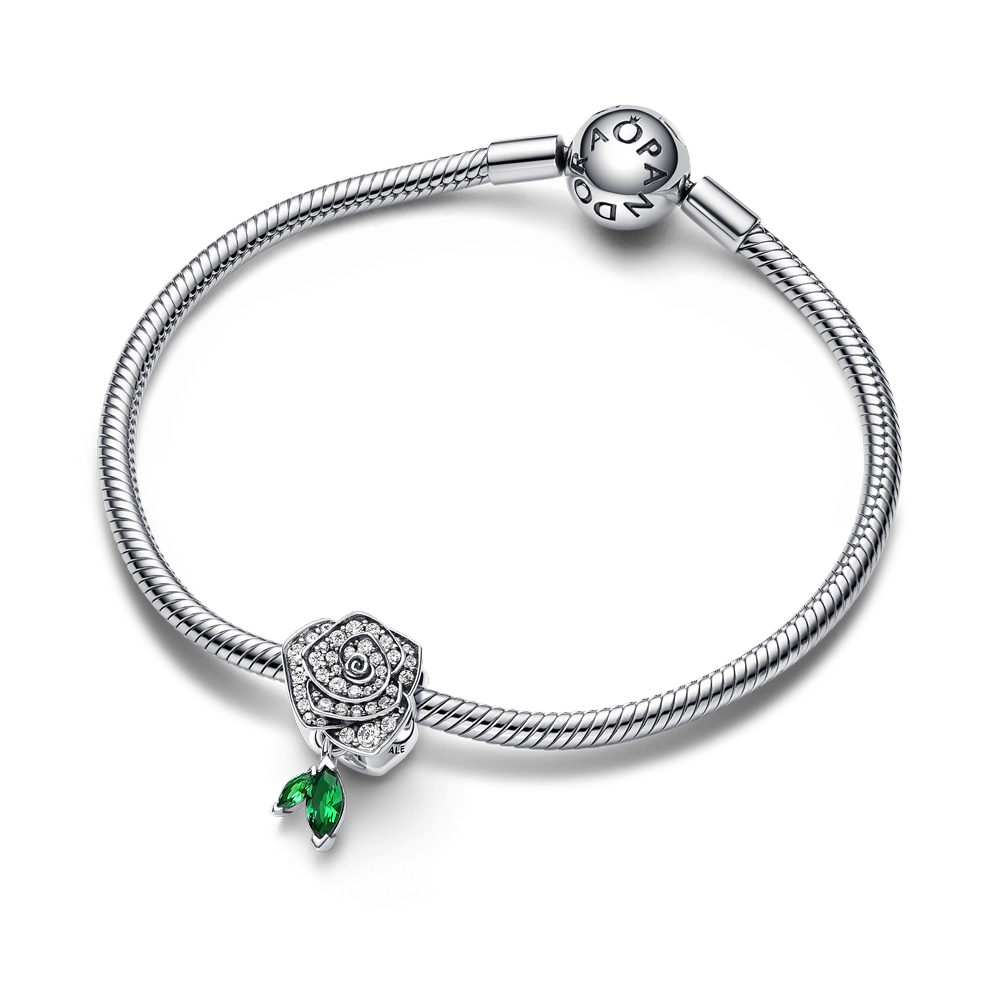 Pandora_Charm_Sterling Silver_793201C01_59,00 Euro (1)