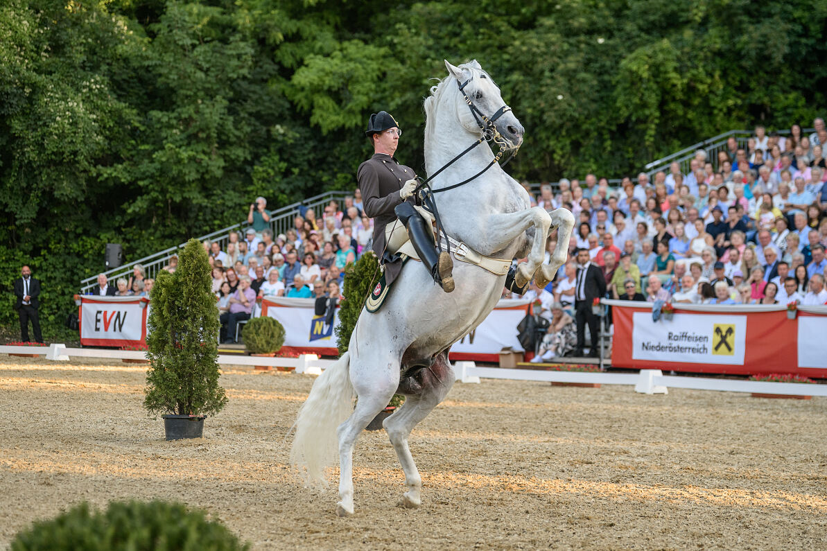 Spanische Hofreitschule Lipizzanergestüt Piber_Lipizzanergala am Heldenberg 2025_© Klaus Ranger (3)