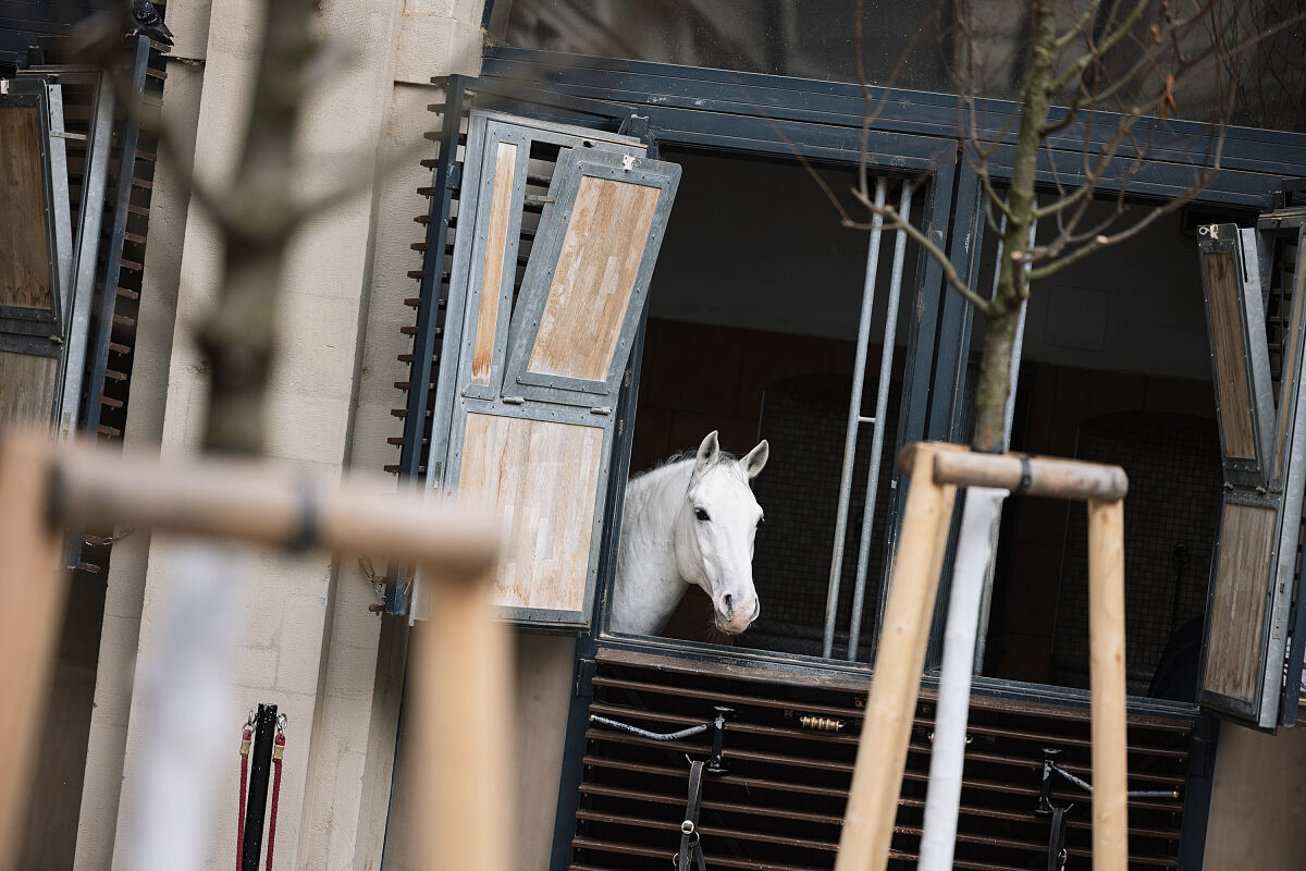 Spanische Hofreitschule_Baumpflanzung_(c)Clemens Schmiedbauer (12)