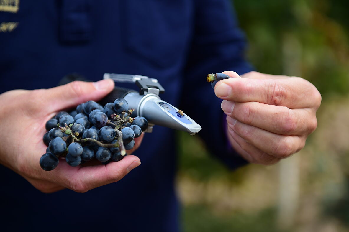 LMM_Refraktometer copy